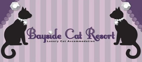 Bayside Cat Resort - Logo