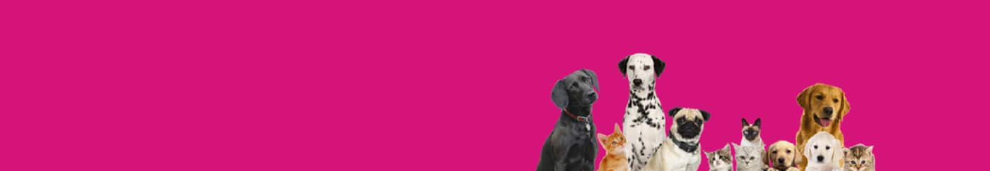 Bazza's Pet Shack - Logo