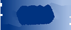 BDM IT Solutions Inc. - Logo