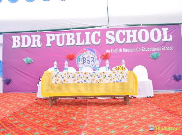 BDR Public School - Logo