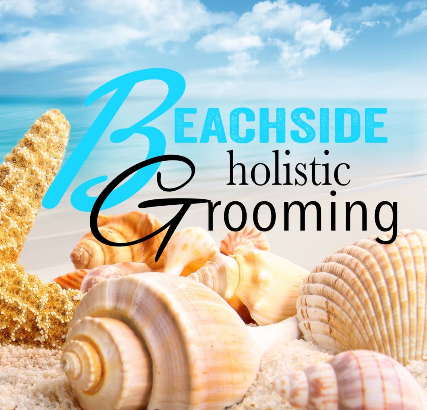 Beachside Dog Grooming - Logo