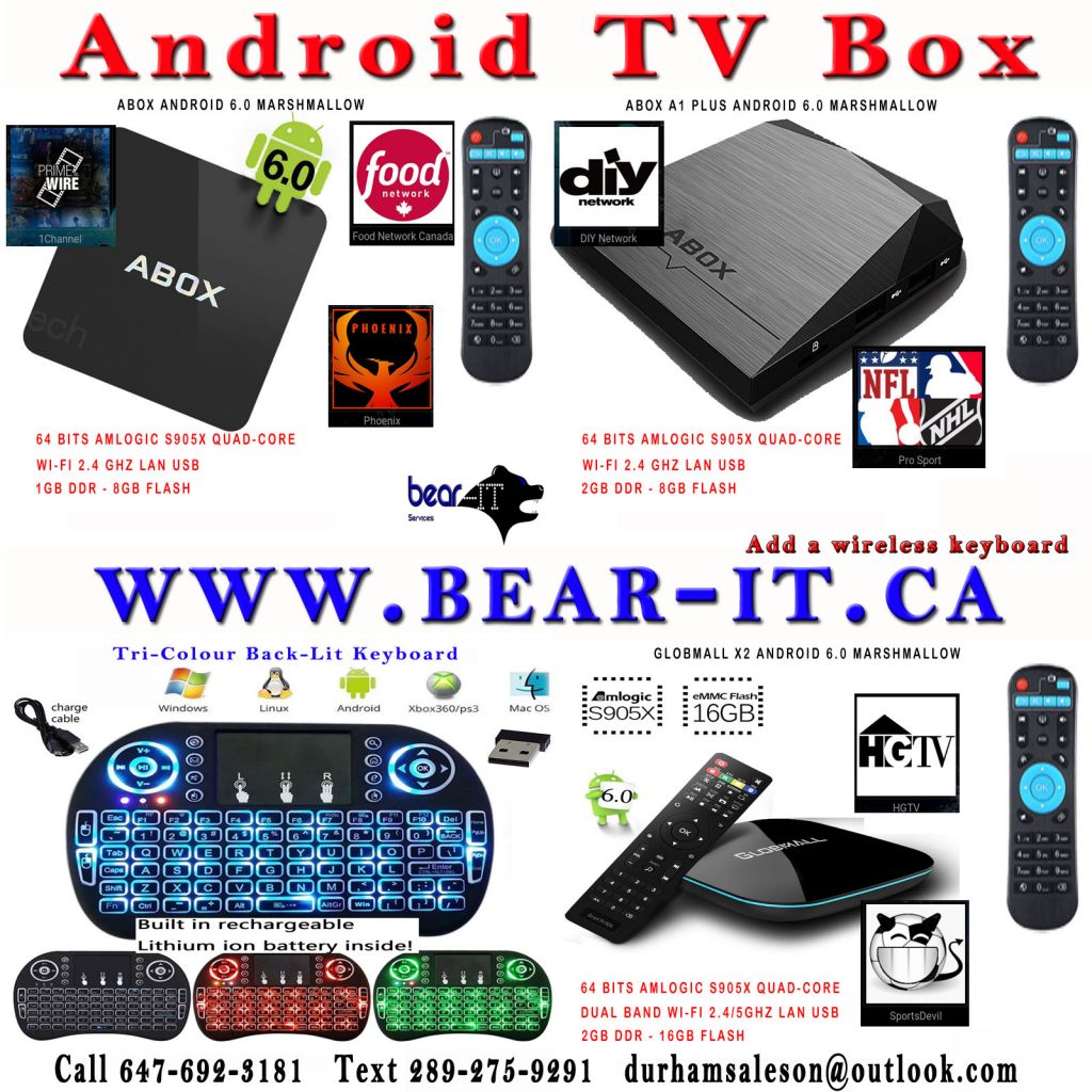 Bear-IT - Logo