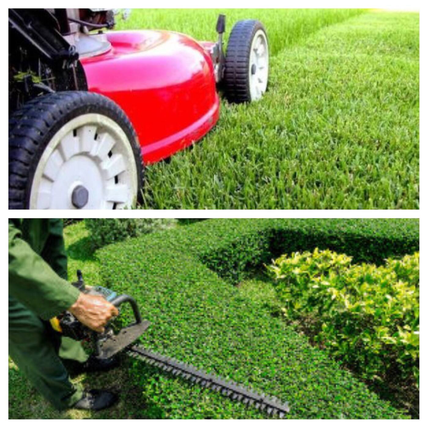 Beast Mowed Lawns and Home Care - Logo