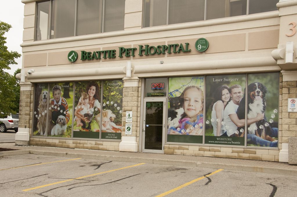 Beattie Pet Hospital of Hamilton-send em - Logo