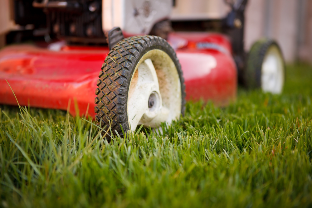 Beau Park Turf Farm - Logo