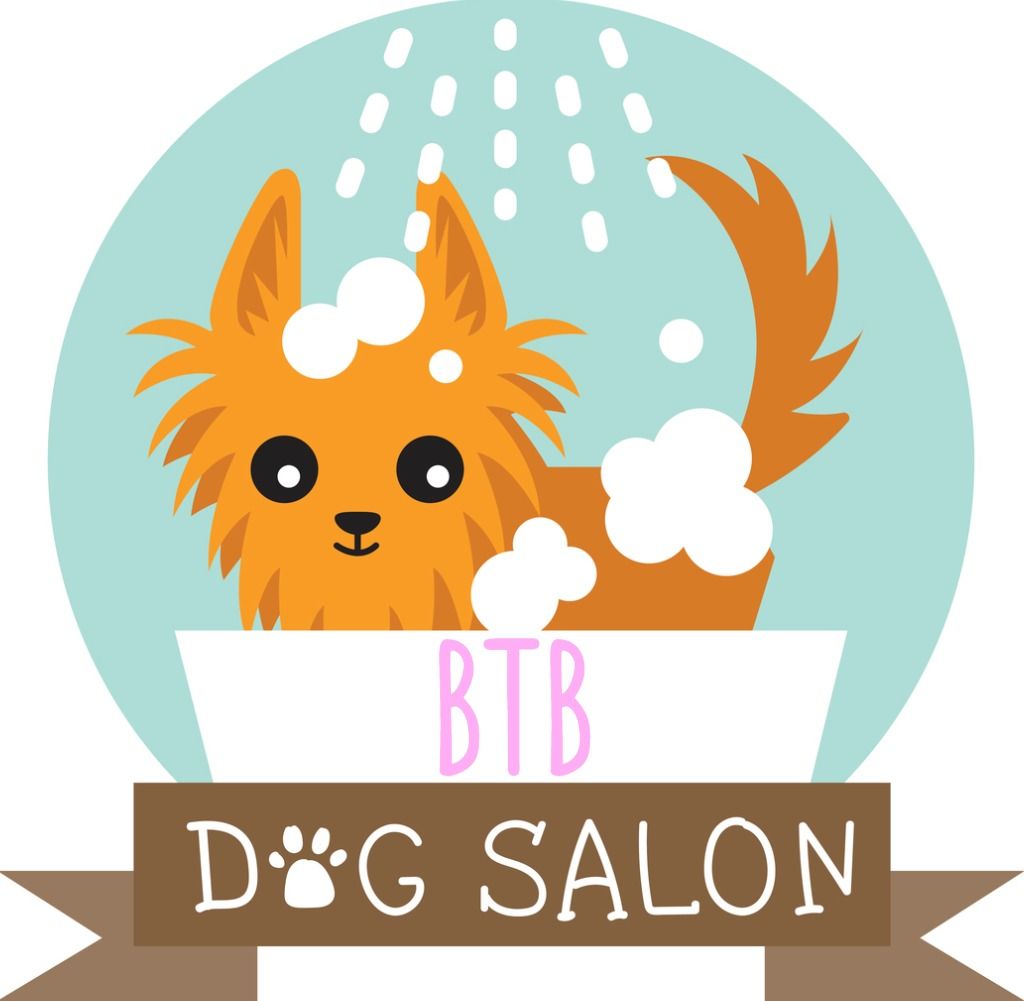 Beautifying The Beast - Logo
