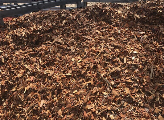 Beehive Landscape Yard - Cover photo