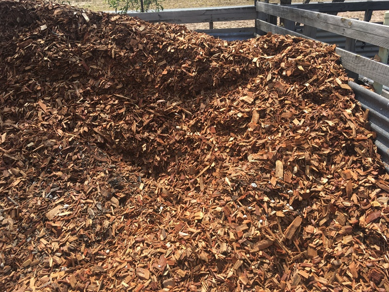 Beehive Vegetation Management - Cover photo