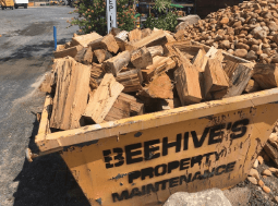 Beehive Waste Management - Logo