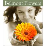 Belmont Flower Market - Logo