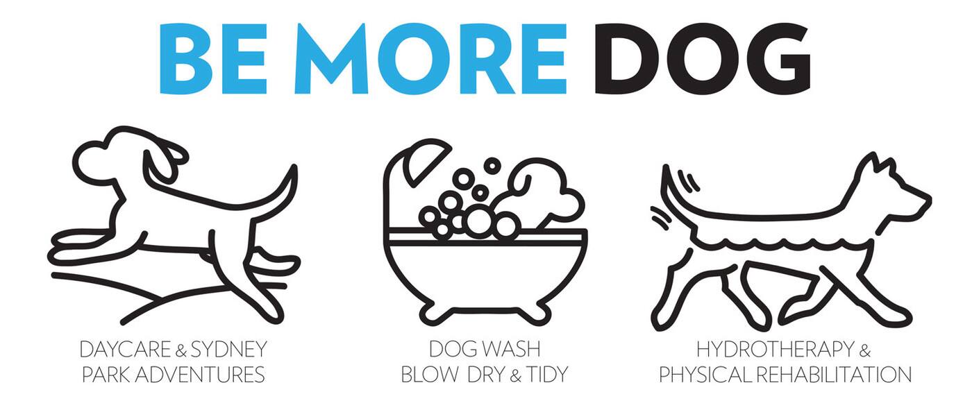 Be More Dog - Cover photo