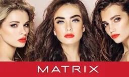 Bennis Matrix - Logo