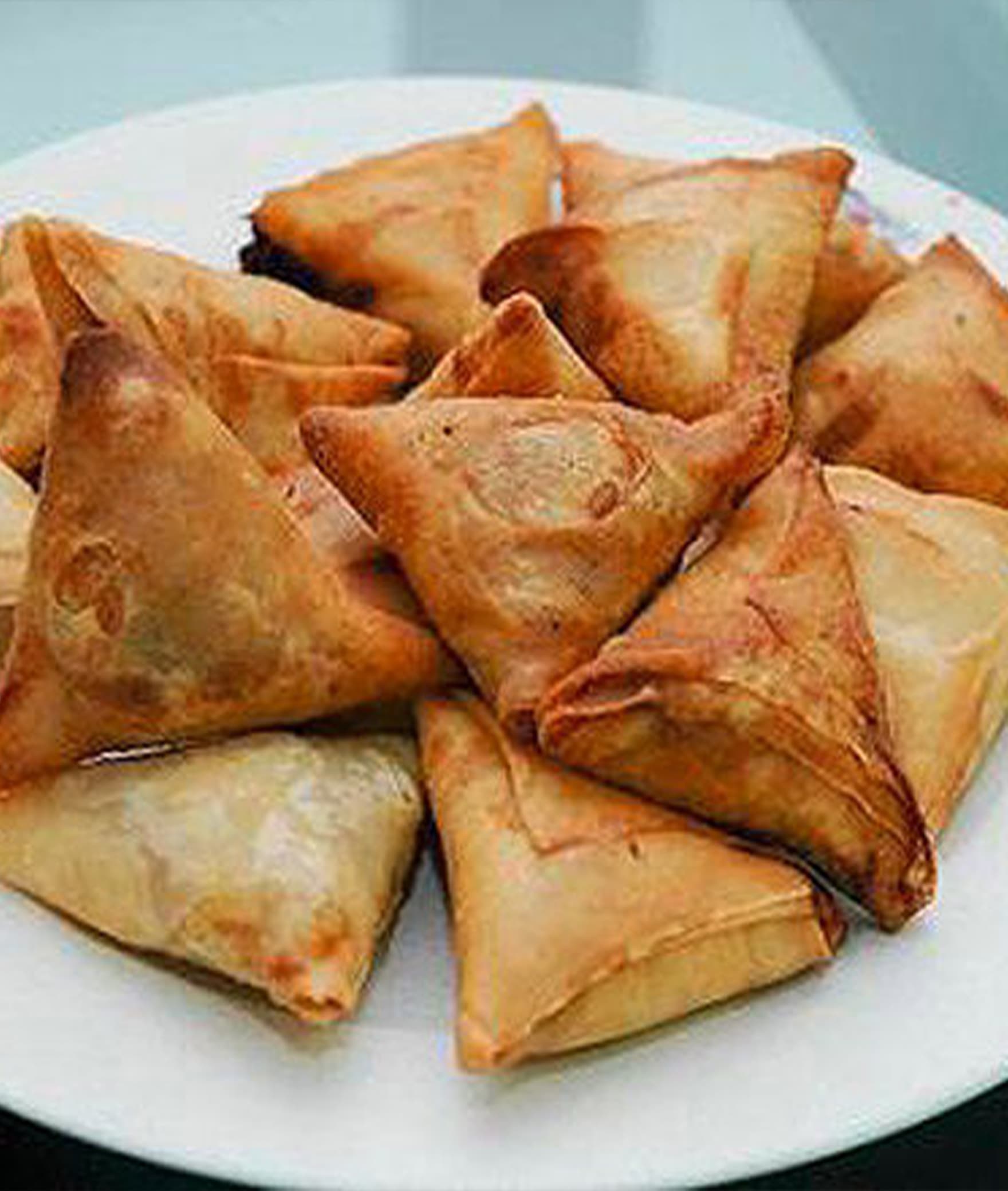 Bera Samosa House - Logo