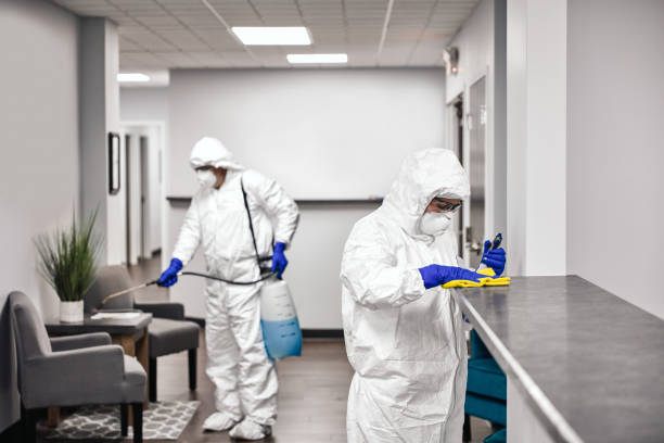Best cleaning service - Cover photo