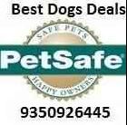Best Dog Deals - Logo