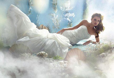 Best for Bride - Logo