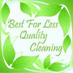 Best For Less Quality Cleaning - Cover photo