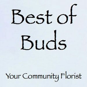 Best of Buds - Logo