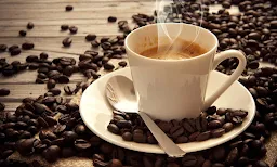 Best Quality South Indian Cafe - Cover photo