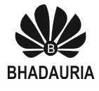 Bhadauria Infotech Private Limited 135786 - Logo