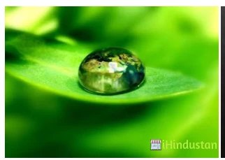 Bhagyadeep homeopathy clinic - Logo