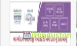 Bhagyoday Path Lab - Logo