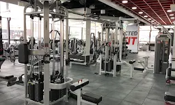 Bhangra Dynasty Classes - Logo