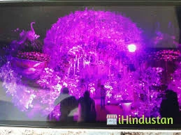 Bharti Tent House & Events - Logo
