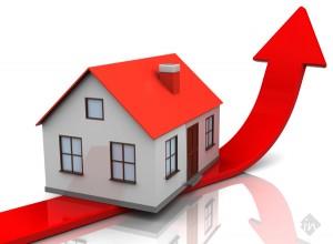 Bhavya Investors Zone - Cover photo