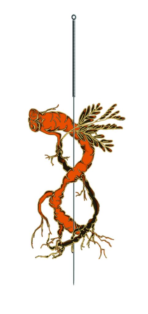 Bhawani P Sinanan R.TCMP, R.Ac - Logo