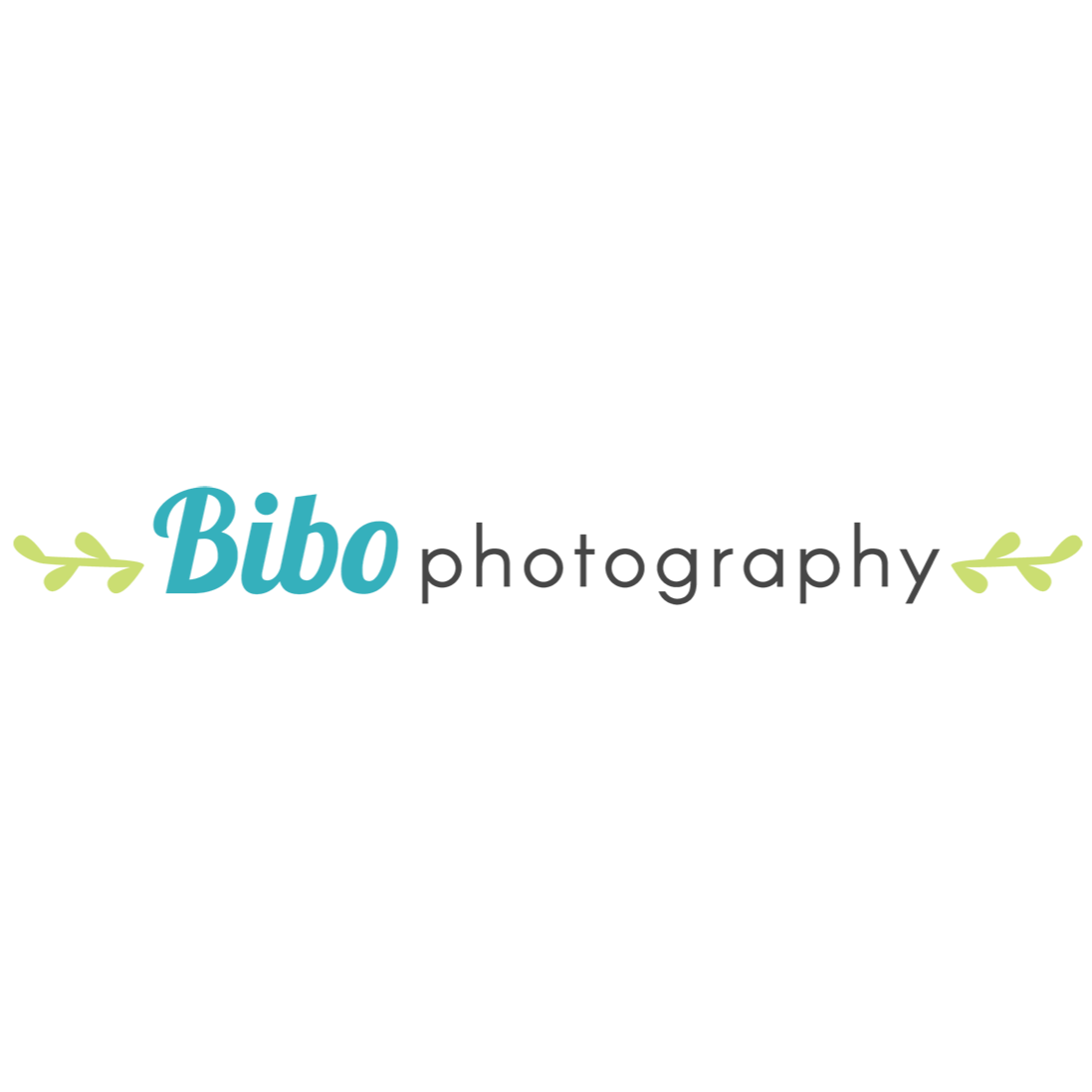 Bibo Photography - Logo