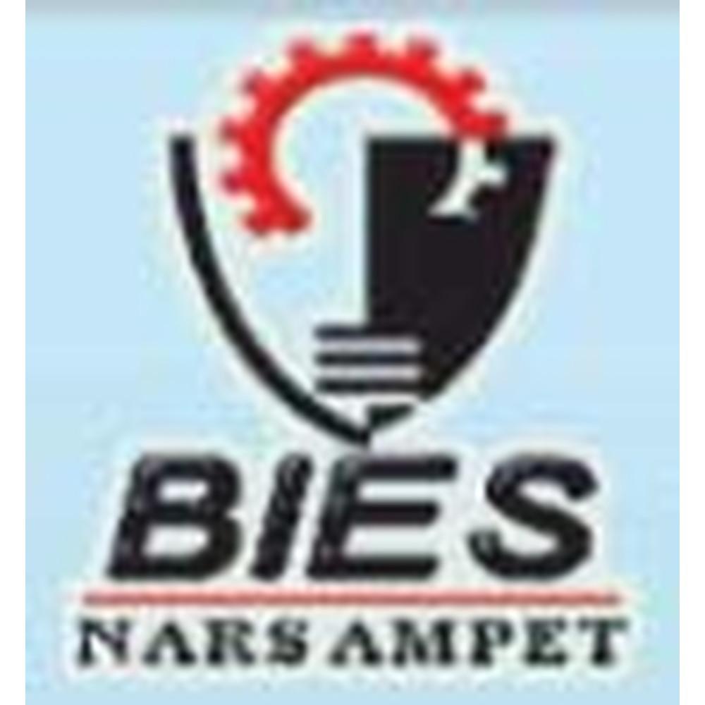 BIES Warangal (BIES WARANGAL) - Logo