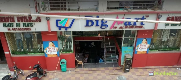 Big Mart Retail Soluctions p. ltd. - Logo