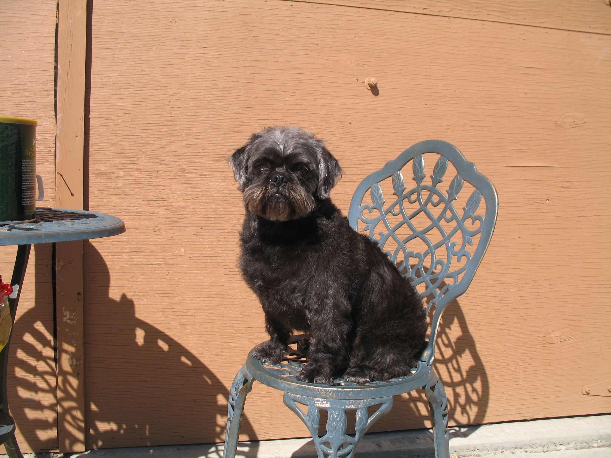 Big Rock Pet Boarding Kennels - Logo
