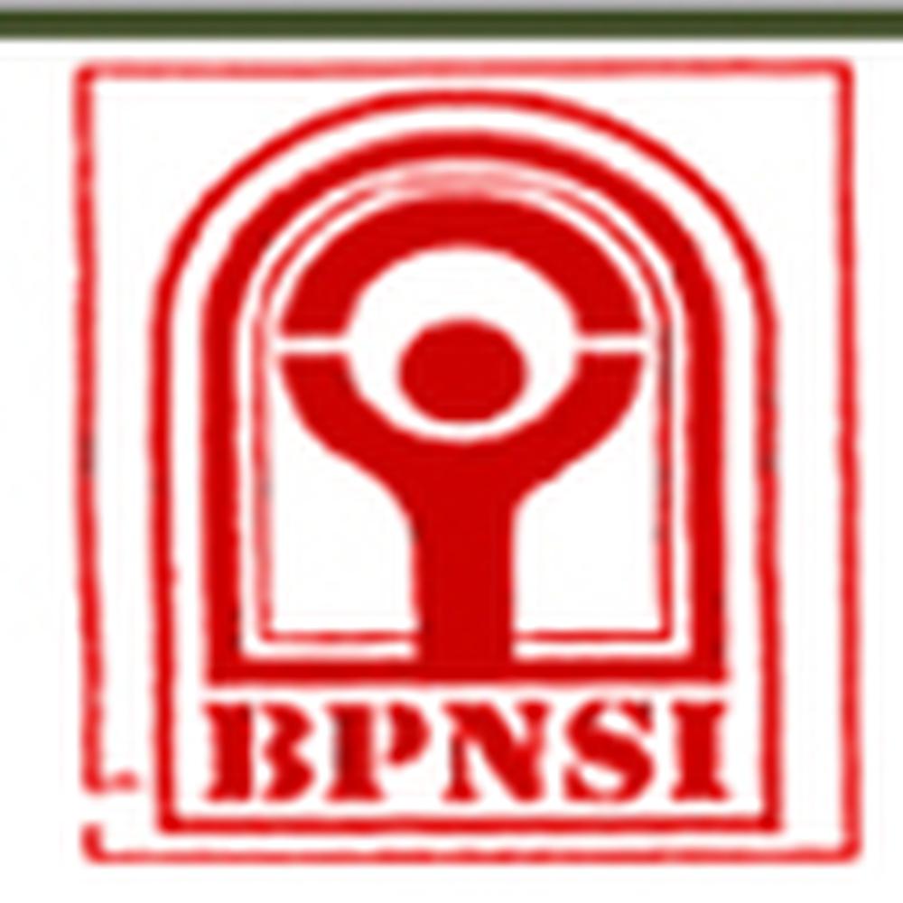 Biju Patnaik National Steel Institute (BPNSI) - Logo