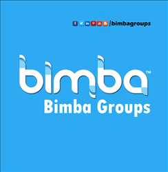 Bimba Icore Network Solutions Pvt Ltd 342074 - Logo