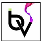 Binary Vapors - Logo