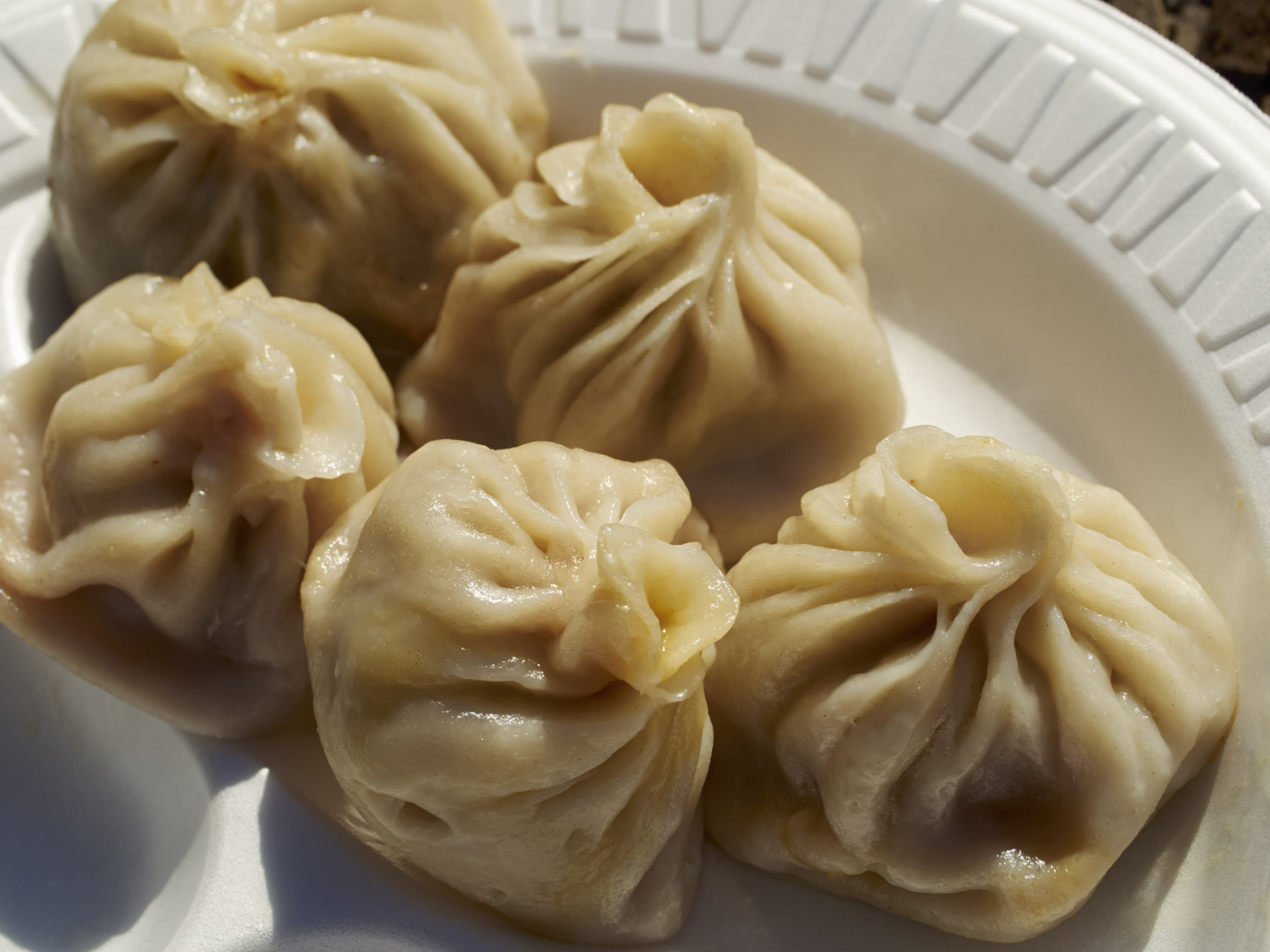 Binger's Tandoori Momos - Logo