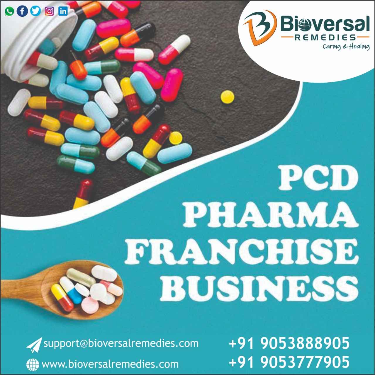 Bioversal Remedies - Cover photo