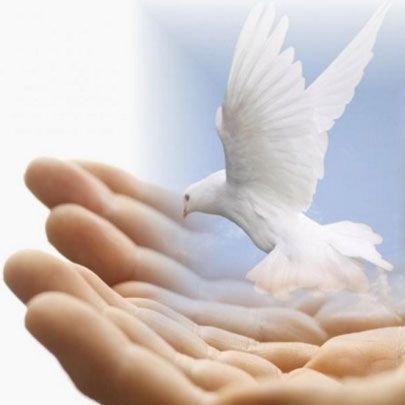Bird Energy Reiki/Access Bar/Crystals - Logo