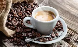 Bird Song Cafe - Logo