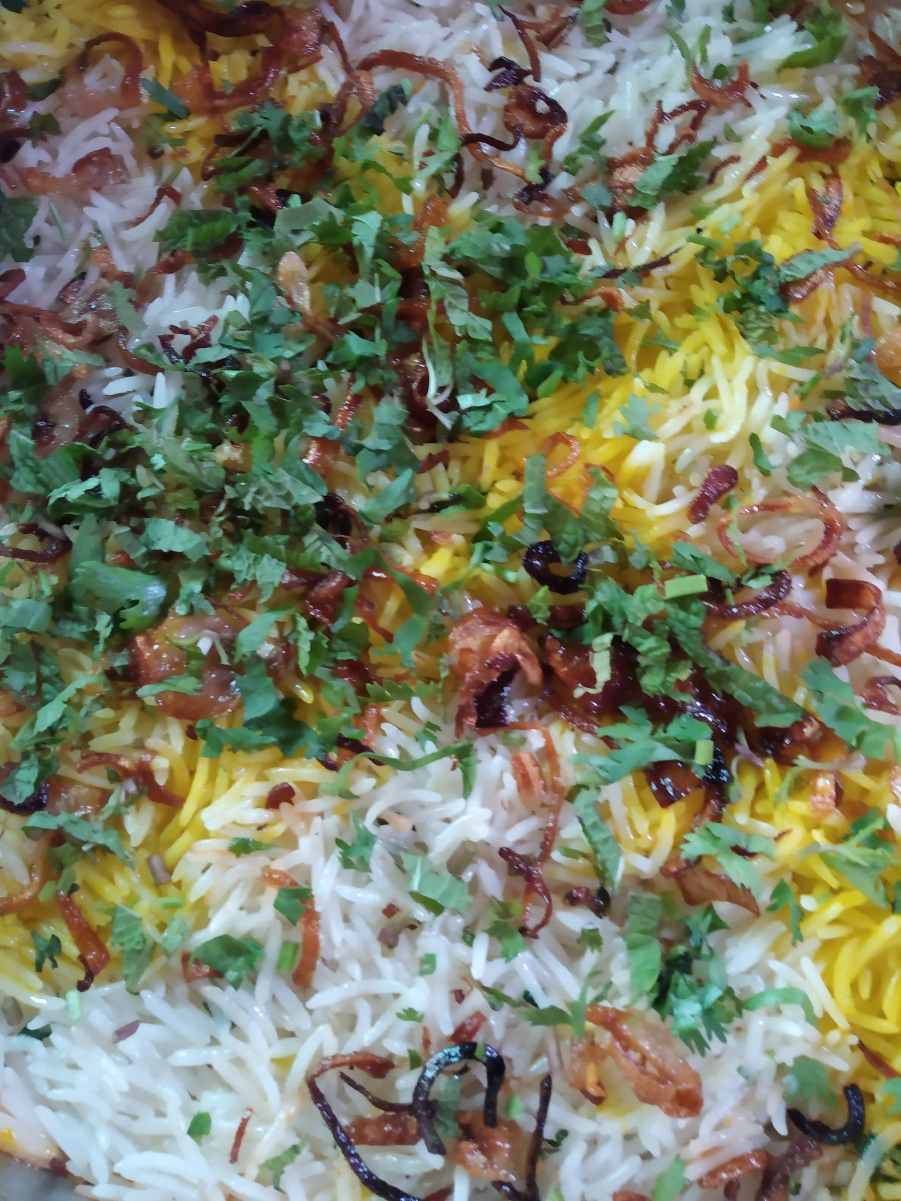 Biryani Express - Logo