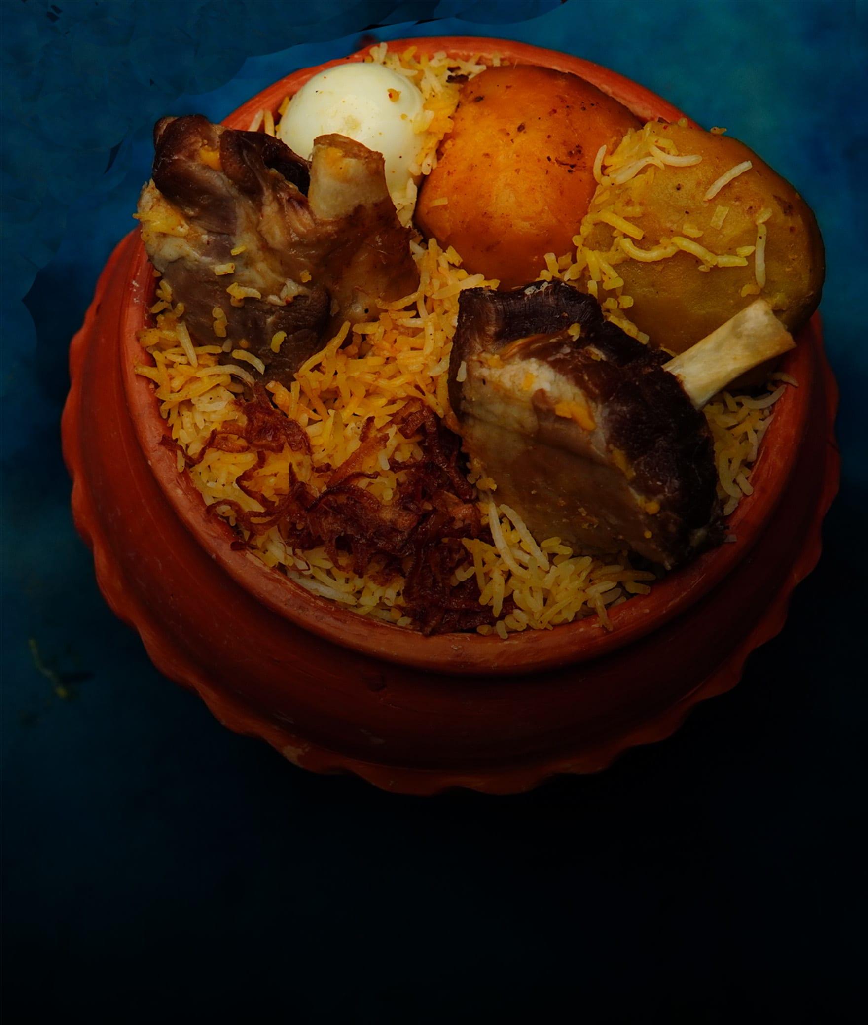Biryani Qissa - Logo