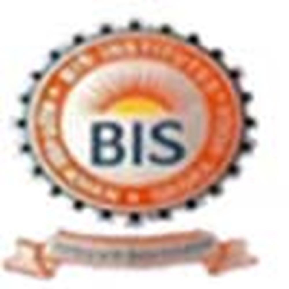 Bis Group Of Institutions - Logo