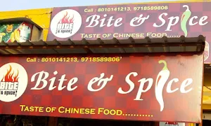 Bite N Spice - Logo
