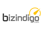 Bizindigo Consultancy - Logo