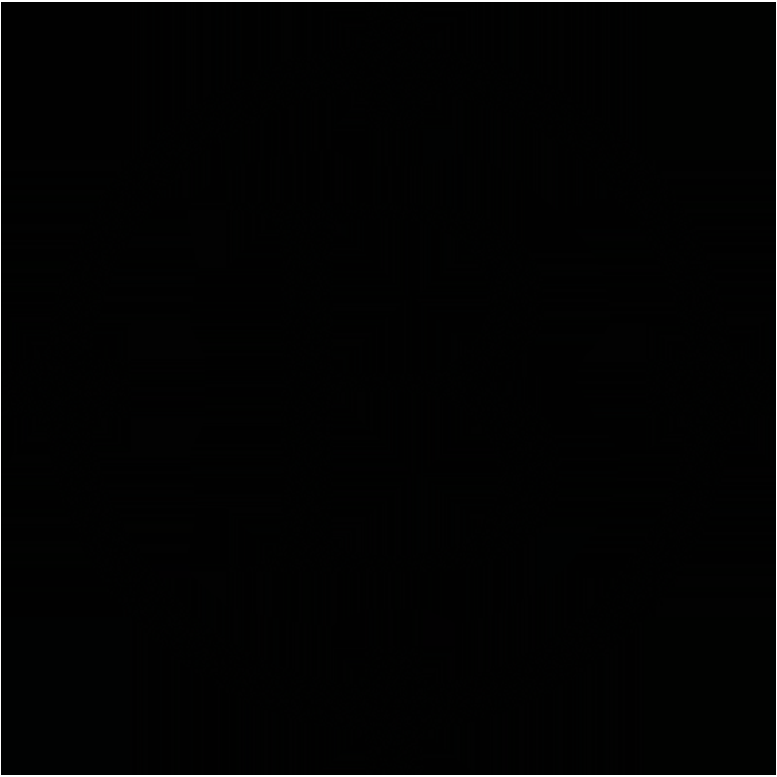 Bizolver - Logo