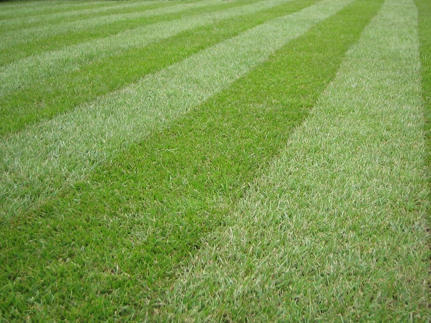 B.J's Lawn Maintenance & Home Care - Cover photo