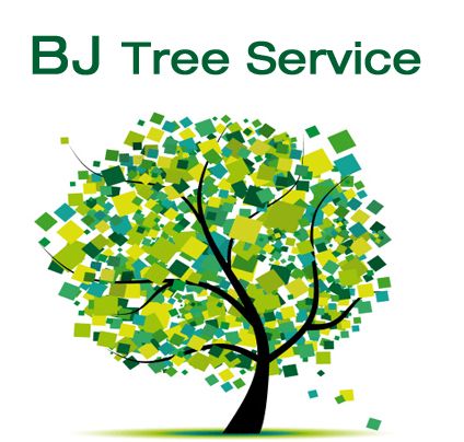 BJ Tree Service - Cover photo