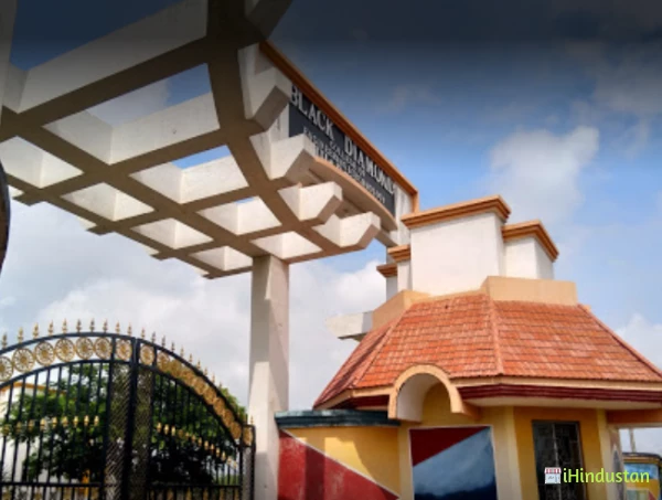 Black Diamond College of Engineering and Technology(BDC - Logo